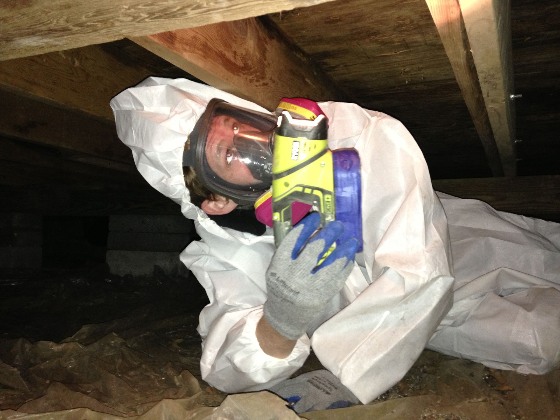 Why you should start a mold & water damage restoration business.