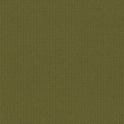 OFILLAMAS - 2024