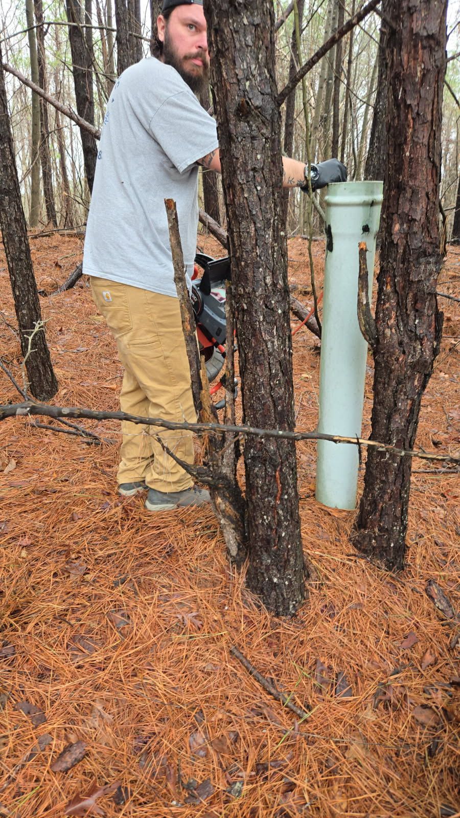 A person in a gray shirt and tan pants stands in a pine forest, touching a gray PVC pipe protruding from the ground.