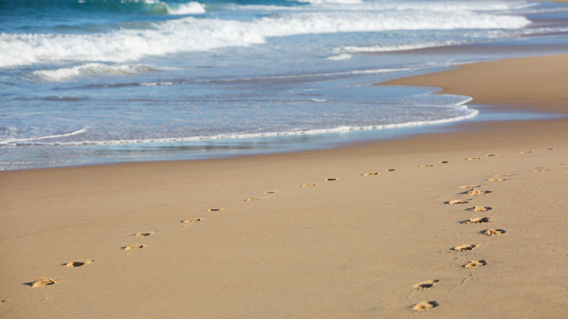 beach
