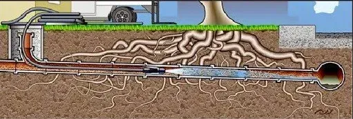 Plumbers Near Me