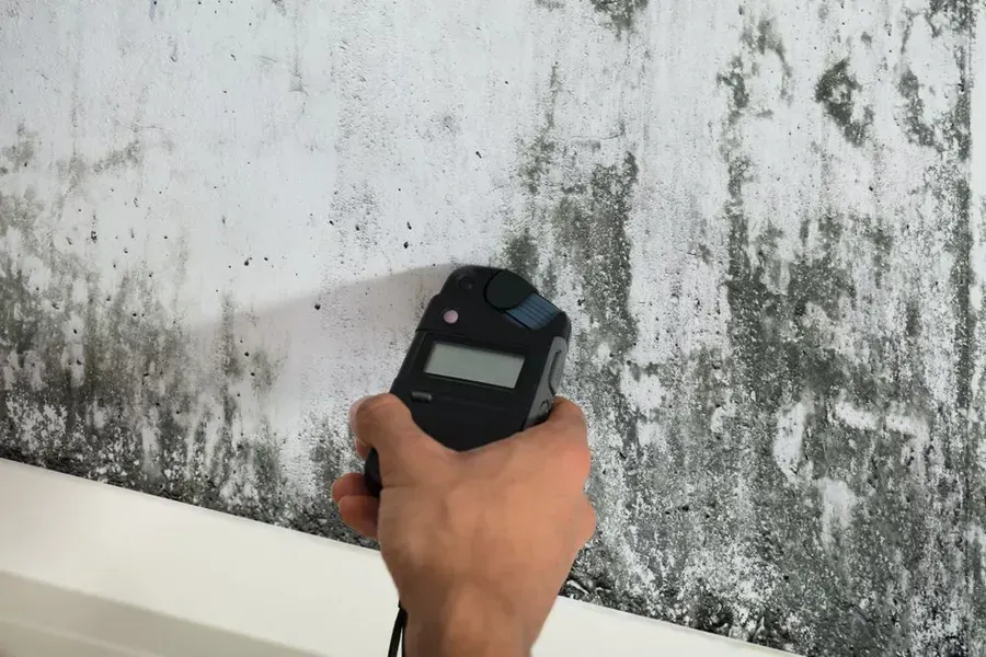 Hand Holding a Moisture Meter Measuring Damp Wall — Phil Lindfield's Big Red Carpet Cleaning In Harrington, NSW
