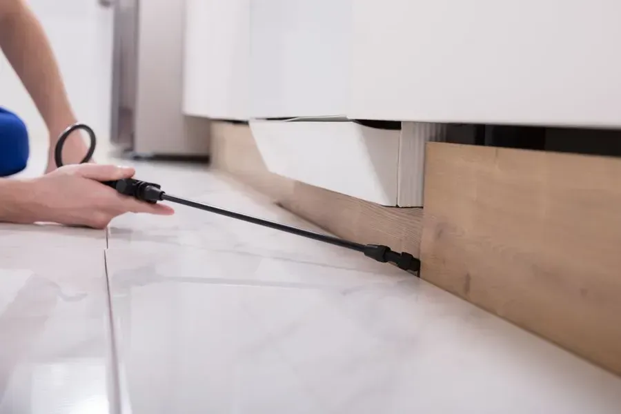 Person Spraying Pesticide Along the Baseboard — Phil Lindfield's Big Red Carpet Cleaning In Harrington, NSW