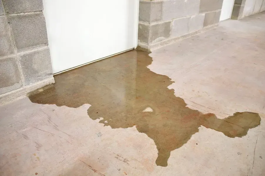 Water Pooling on a Concrete Floor Near a Wall With Cinder Blocks — Phil Lindfield's Big Red Carpet Cleaning In Nabiac, NSW