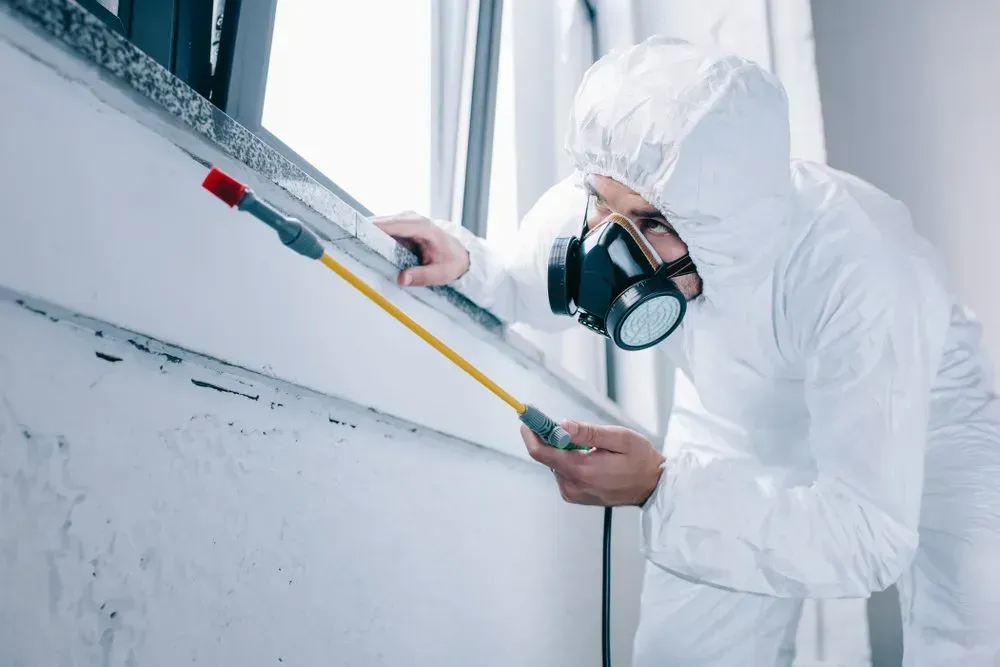 Person in Protective Suit Spraying Wall Near Window — Phil Lindfield's Big Red Carpet Cleaning In Taree, NSW