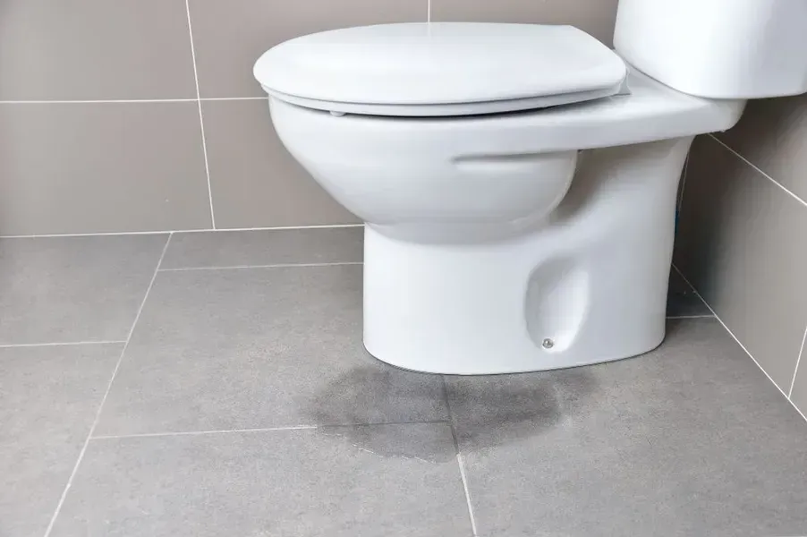 Toilet With Wet Floor, Gray Tiles, Leak Evident in the Puddle — Phil Lindfield's Big Red Carpet Cleaning In Tuncurry, NSW