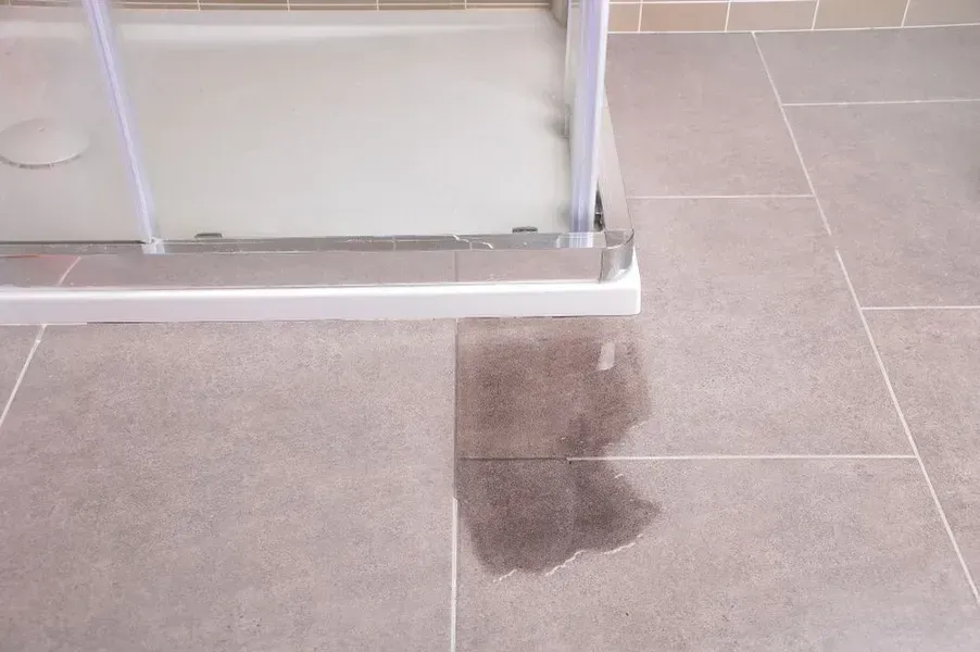 Water Leak on Bathroom Floor Next to Shower Stall — Phil Lindfield's Big Red Carpet Cleaning In Tallwoods Village, NSW