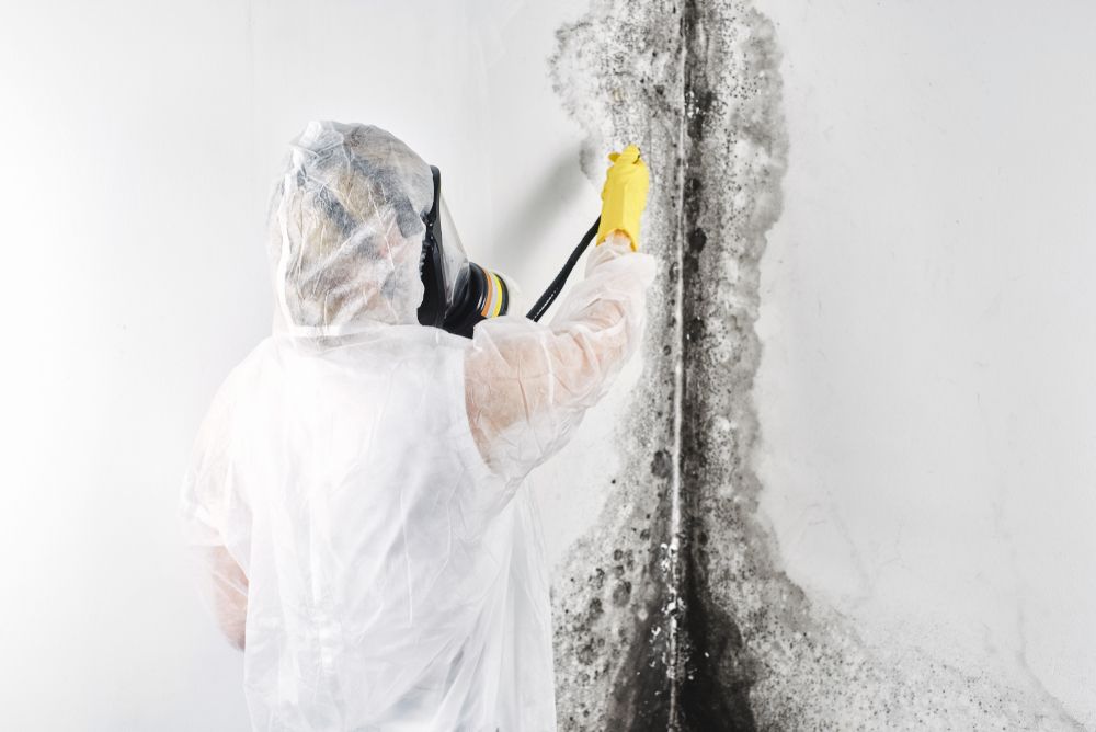 Person in Protective Suit Spraying a Wall With Mold — Phil Lindfield's Big Red Carpet Cleaning In Mid North Coast, NSW