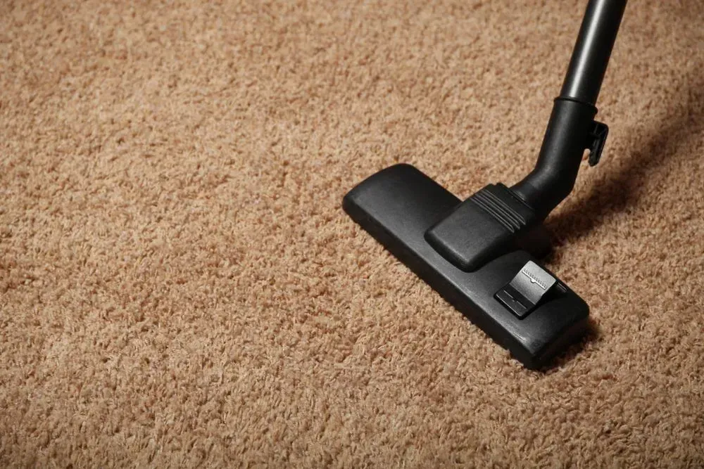 Vacuum Cleaner Head on Brown Carpet — Phil Lindfield's Big Red Carpet Cleaning In Tuncurry, NSW