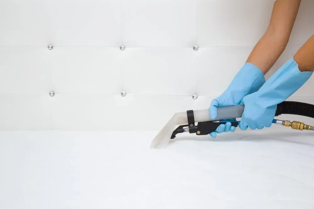 Person in Blue Gloves Using Upholstery Cleaner — Phil Lindfield's Big Red Carpet Cleaning In Taree, NSW