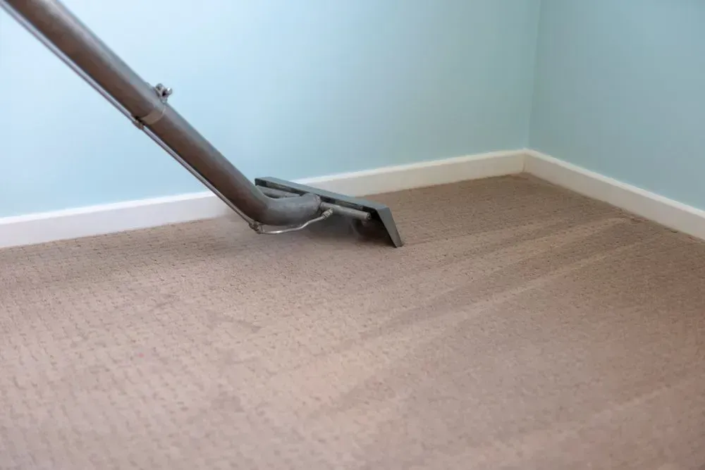 Carpet Being Cleaned With a Professional Cleaning Tool — Phil Lindfield's Big Red Carpet Cleaning In Hallidays Point, NSW