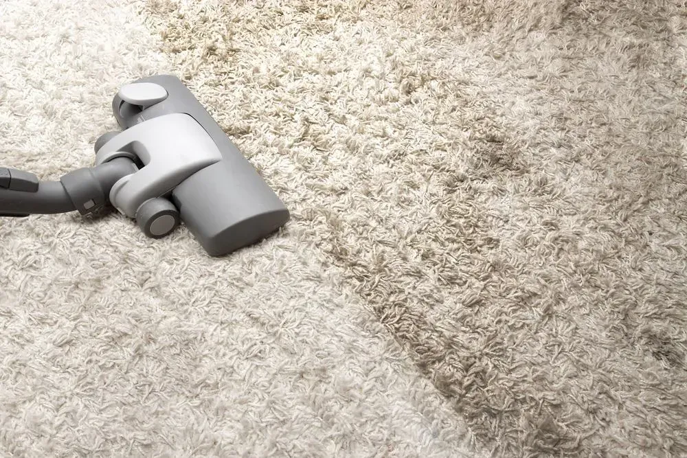 Vacuum Cleaner Cleaning — Phil Lindfield's Big Red Carpet Cleaning In Harrington, NSW