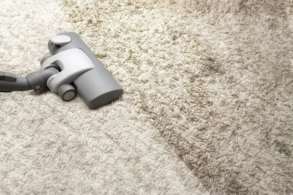Vacuum Cleaner Cleaning a Beige Carpet — Phil Lindfield's Big Red Carpet Cleaning In Wingham, NSW