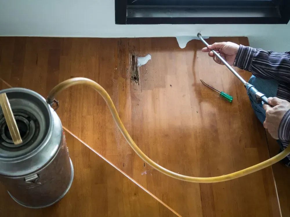 Person Sprays Insecticide Into a Wooden Surface — Phil Lindfield's Big Red Carpet Cleaning In Old Bar, NSW
