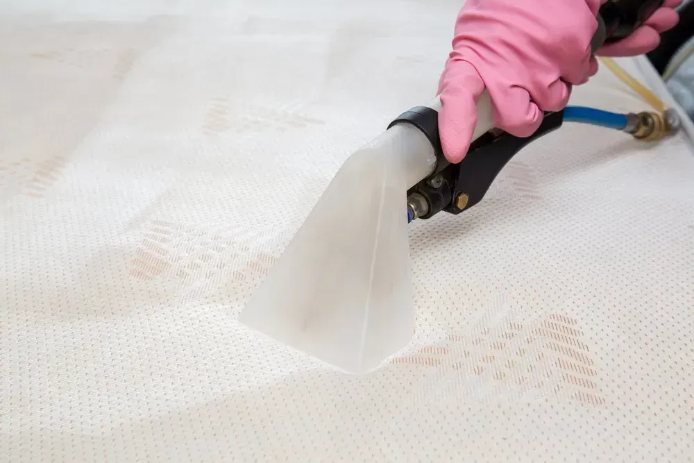 Person in Pink Gloves Using a Cleaning Machine — Phil Lindfield's Big Red Carpet Cleaning In Taree, NSW