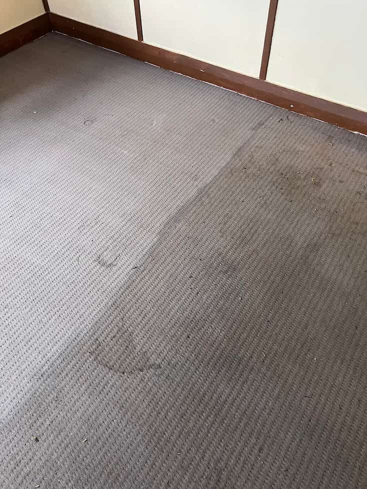 Dirty Carpet Partially Cleaned — Phil Lindfield's Big Red Carpet Cleaning in Taree, NSW