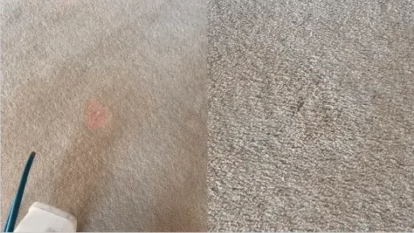 Carpet Cleaning Demonstration: Stained Area on Left — Phil Lindfield's Big Red Carpet Cleaning In Taree, NSW