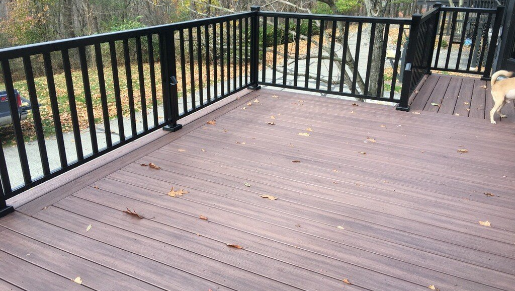 A dog standing on a deck with a black railing