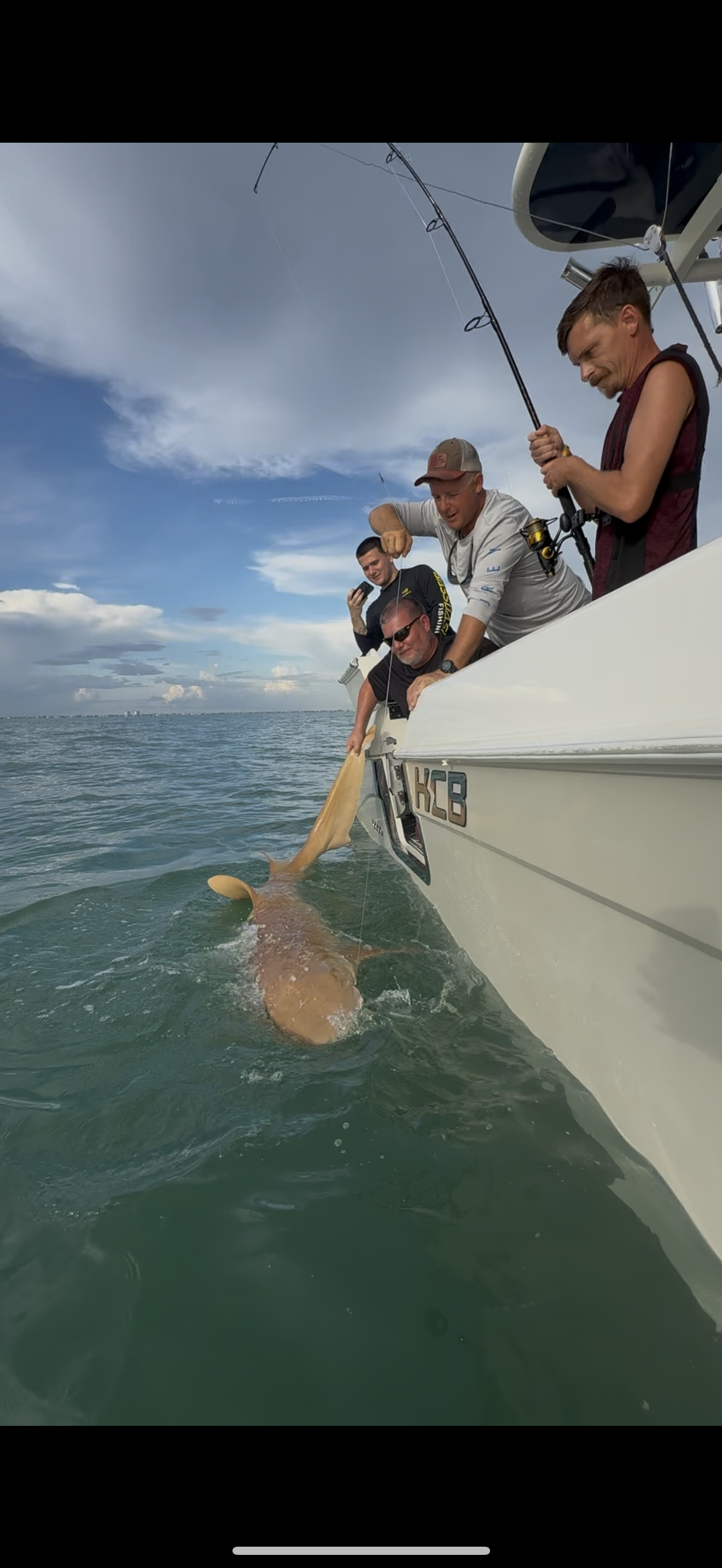 People on a boat helping to pull a fish out of the water.