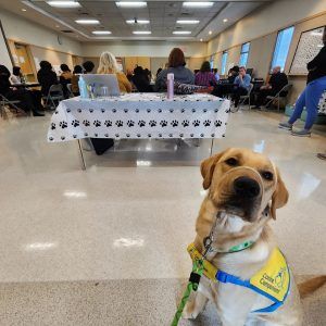 A dog is sitting in front of a table with people sitting at it.