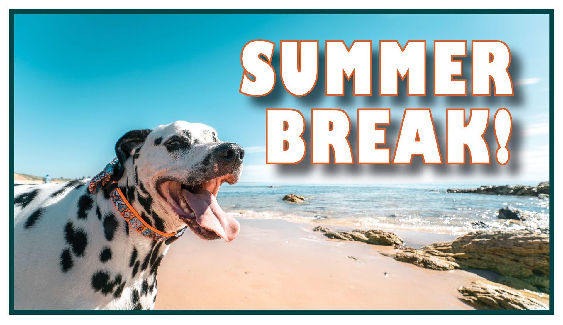 A dalmatian dog is standing on a beach with its mouth open.