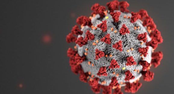 A close up of a coronavirus cell on a black background.