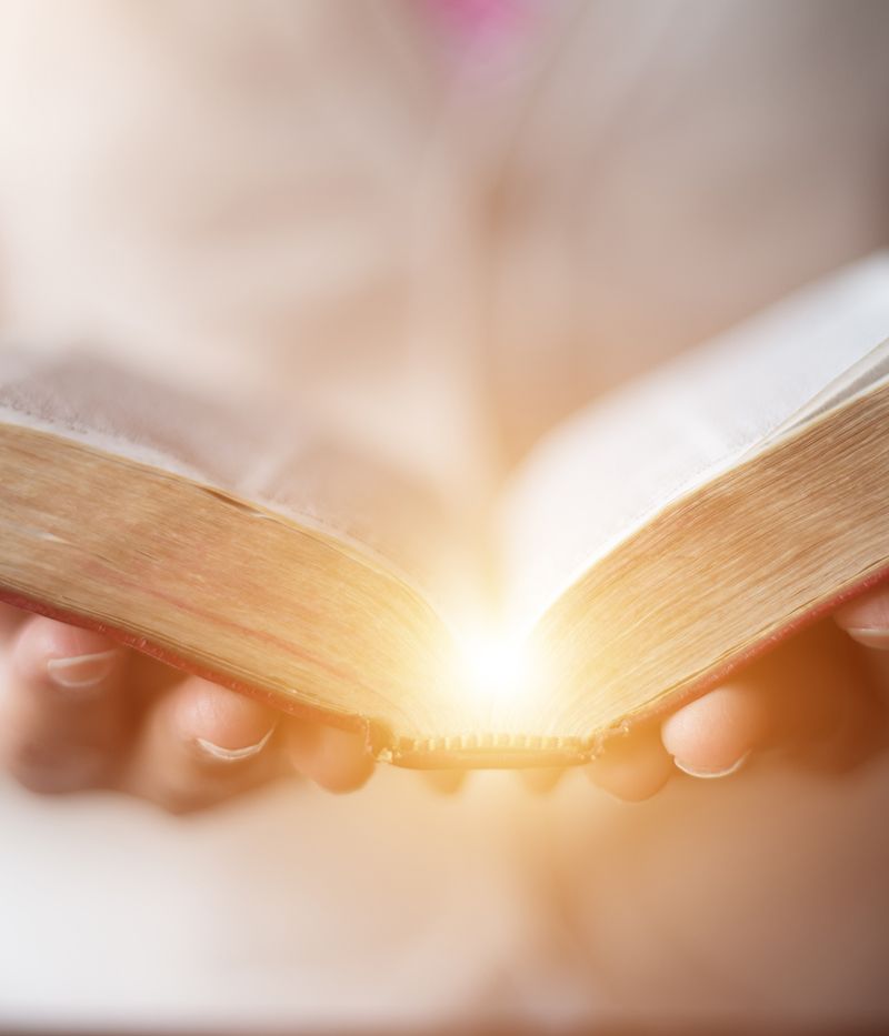 Person Holding Book