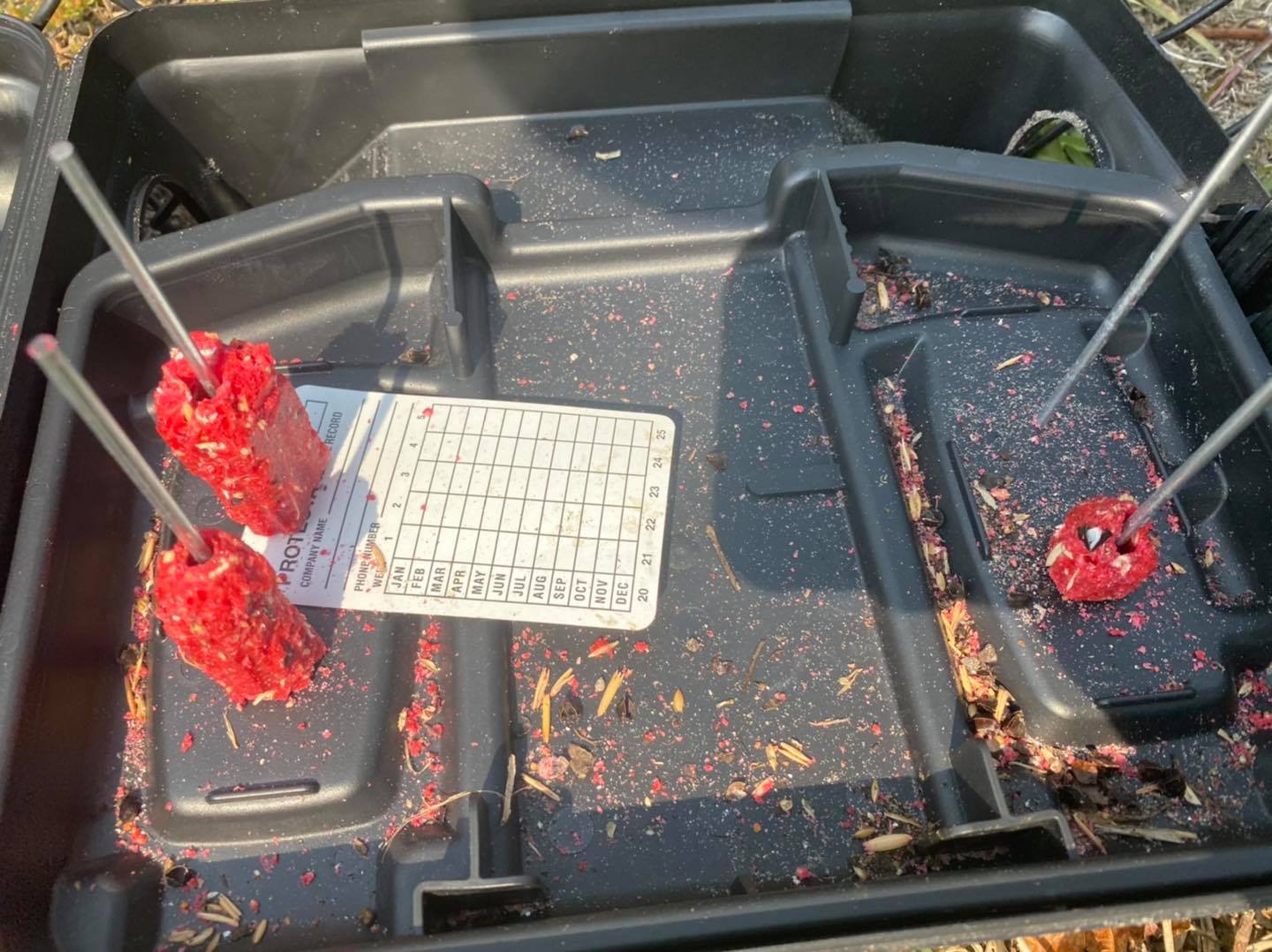 Exterminator Cape Coral, FL ITM Pest Solutions