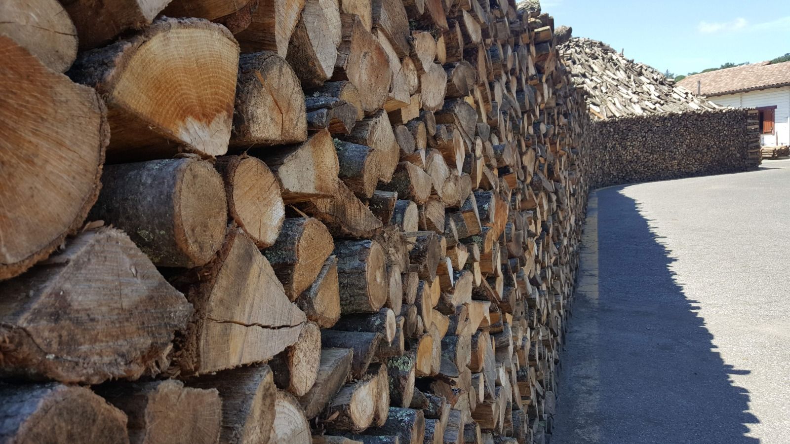 legna da ardere