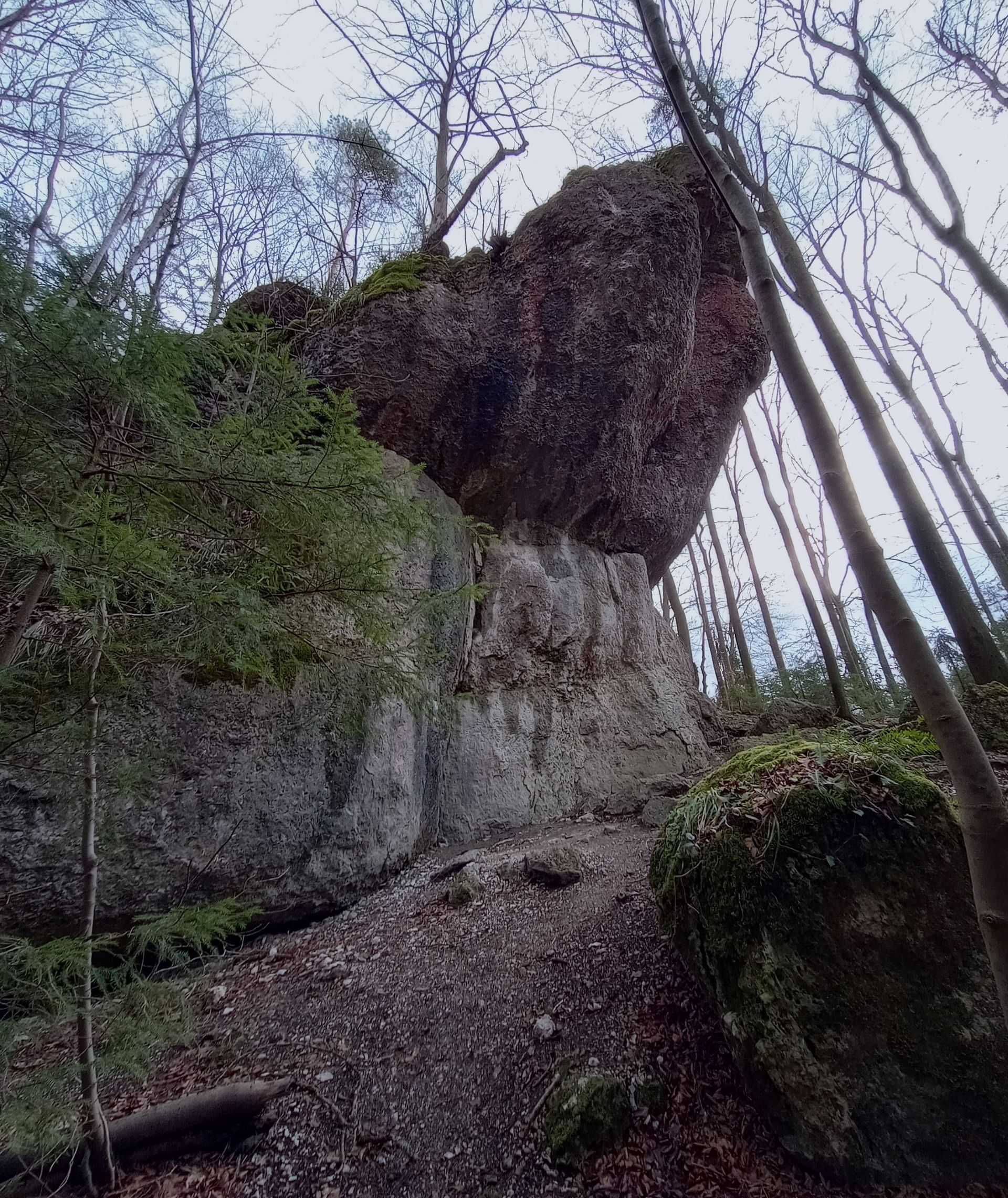 Der Waldkopf in der Fränkischen Schweiz