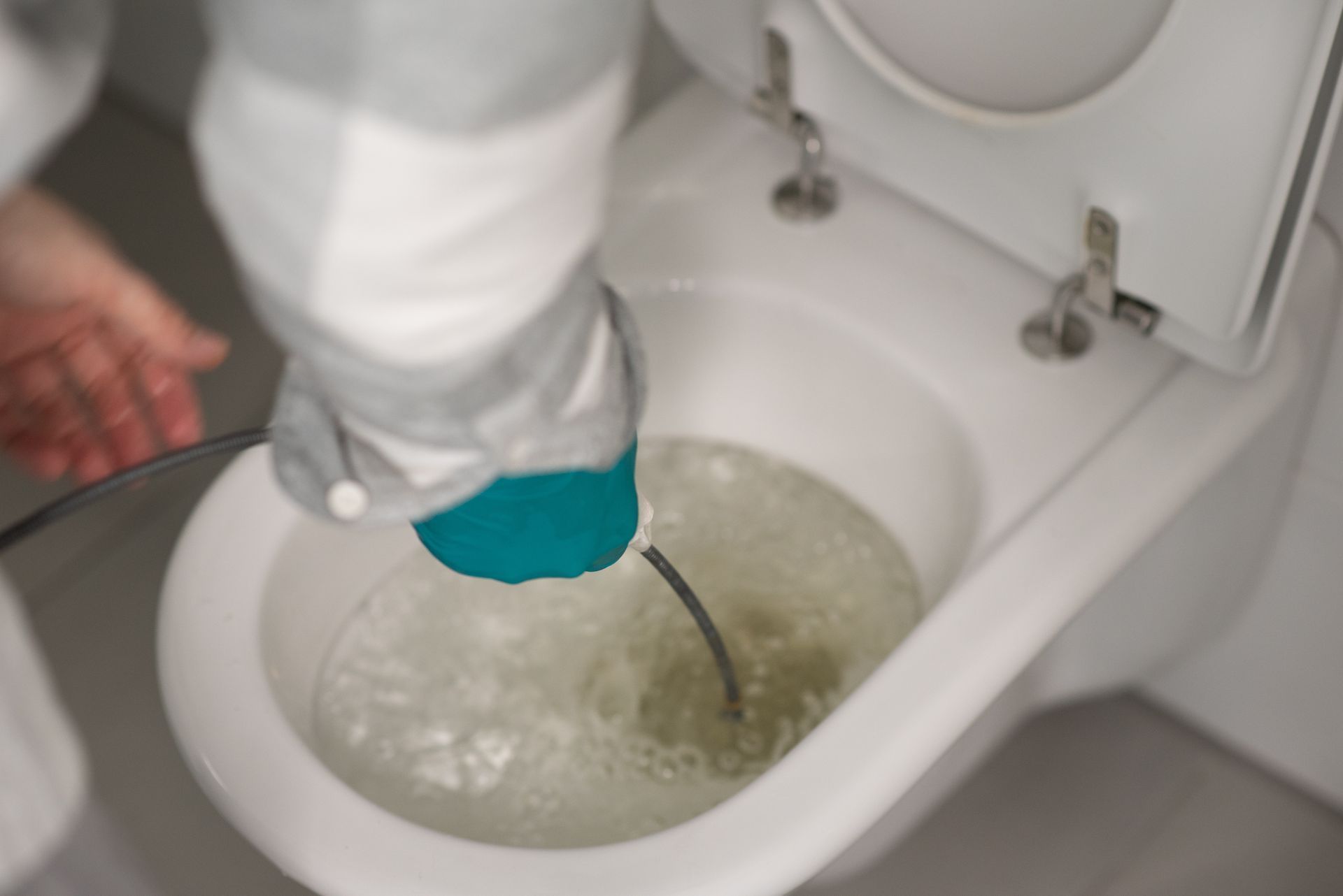 Person cleaning a toilet bowl with a blue scrub brush and white cleaning cloth.
