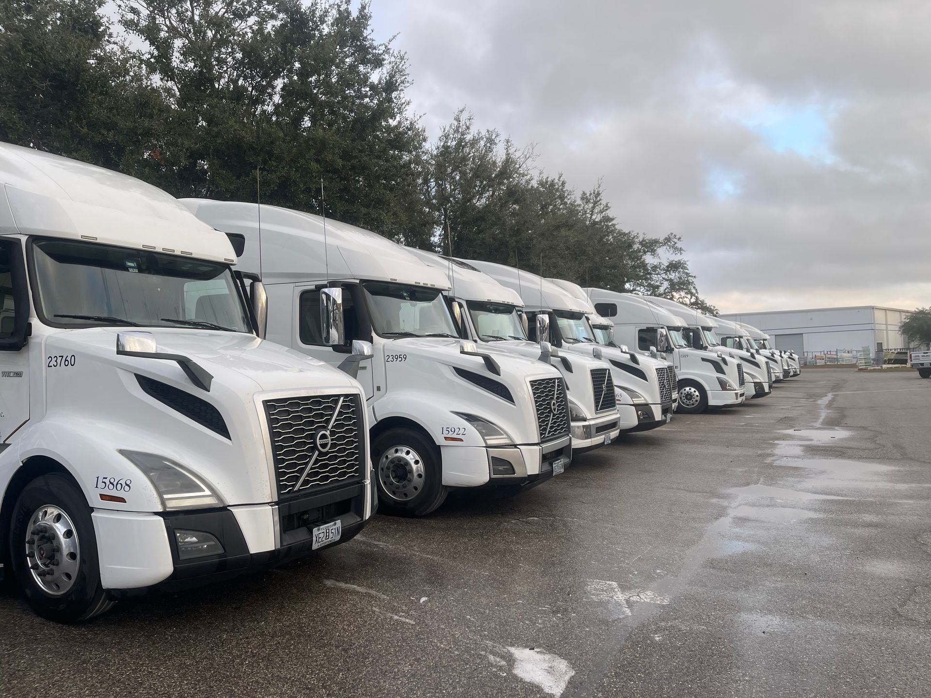 White semi trucks lined up in a lot on a cloudy day