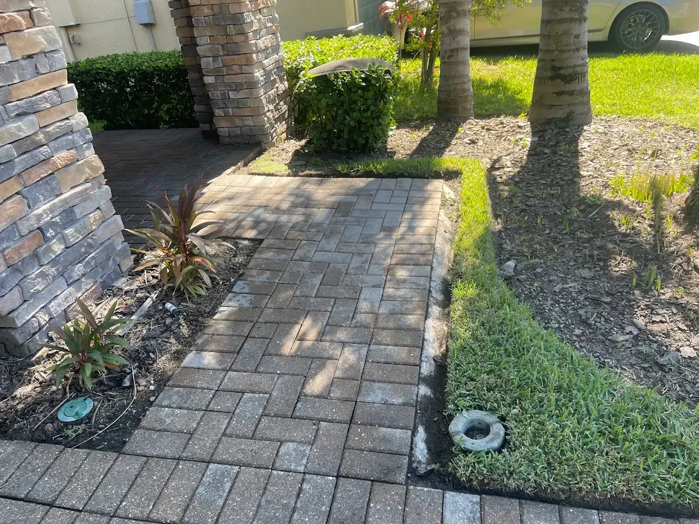Brick walkway between yard hedges and palm trees beside a house siding