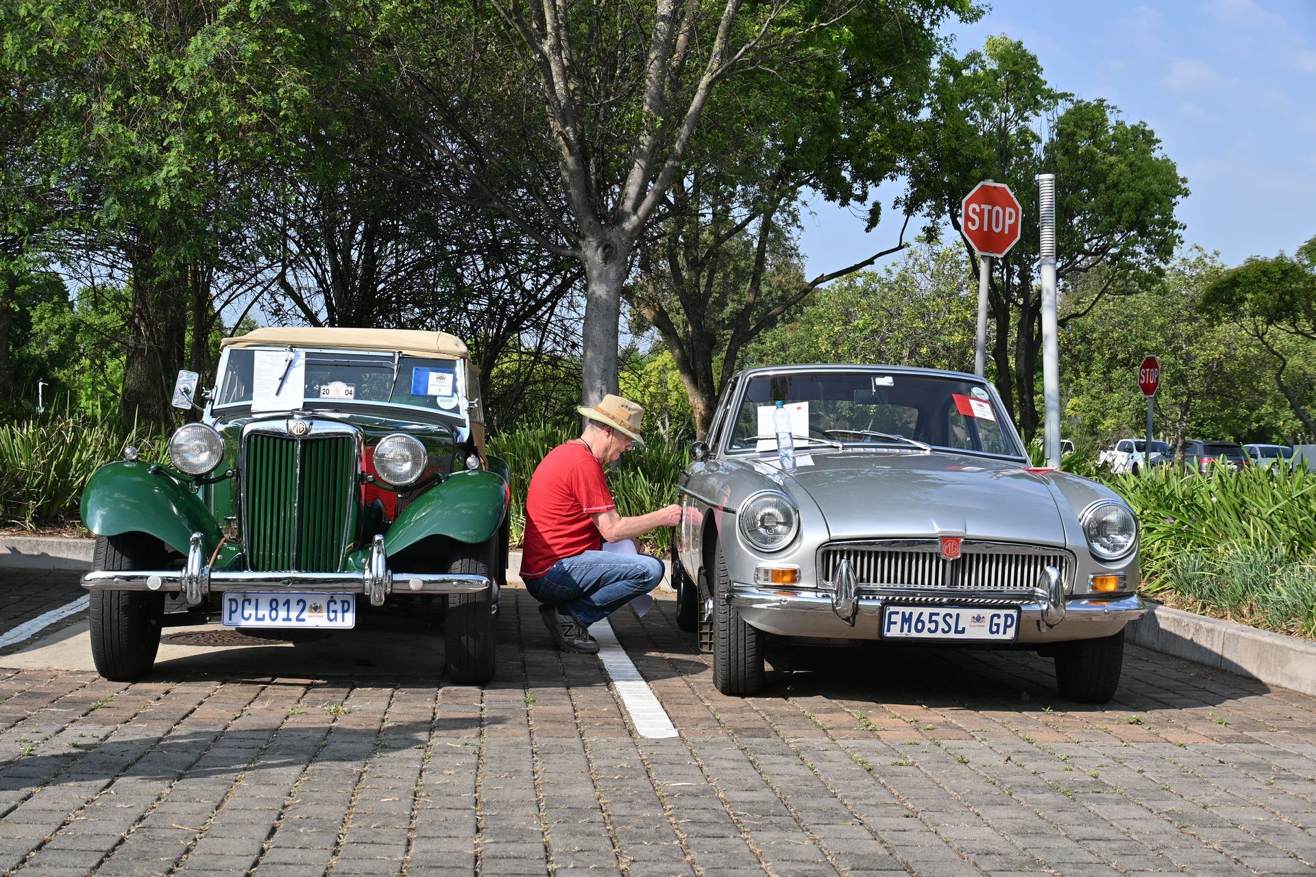 Two vintage cars parked roadside, with a person crouching between them under trees