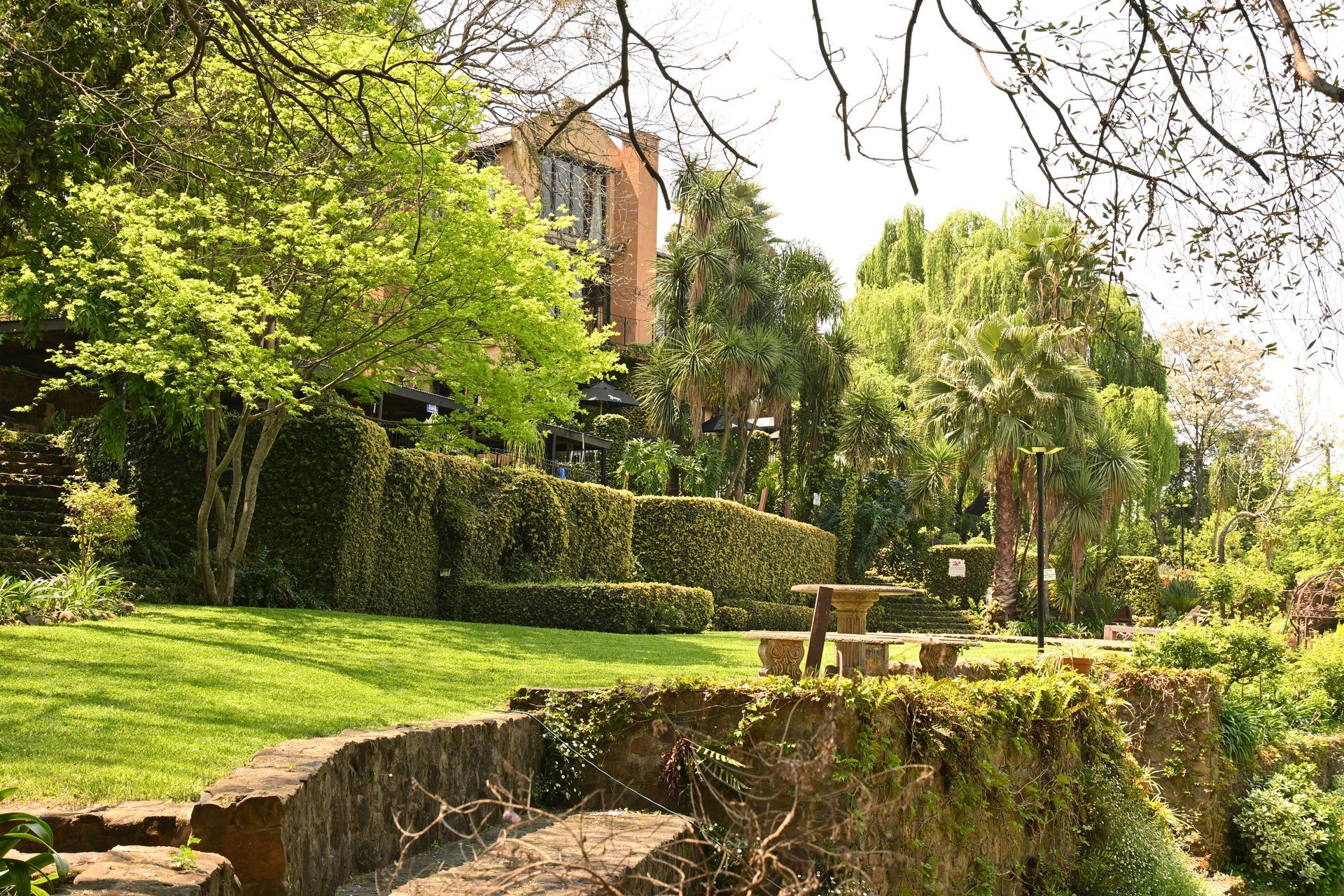 Lush garden with a stone wall, green hedges, trees, and a building in the background