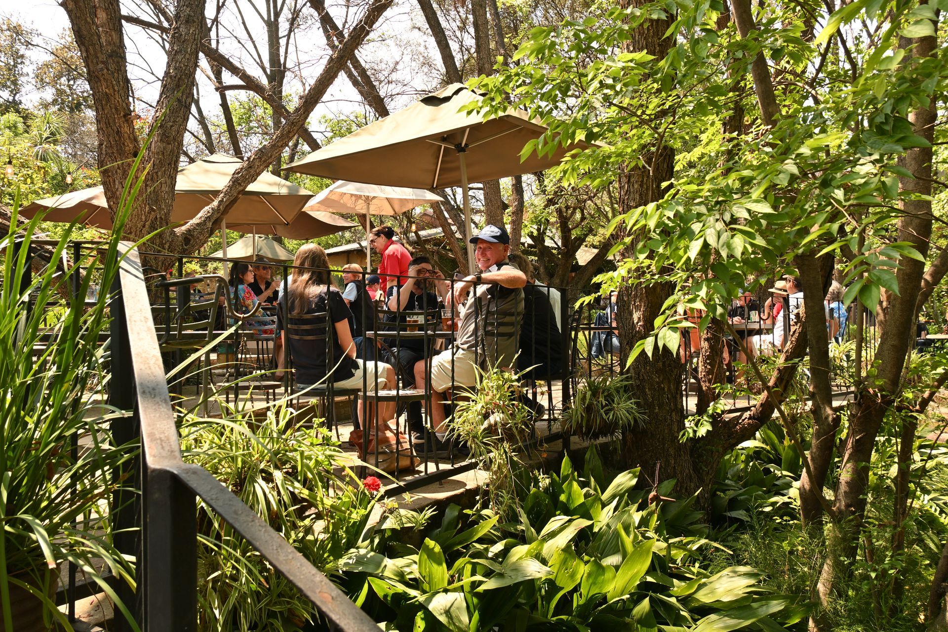 People seated at an outdoor café amid lush greenery and trees.