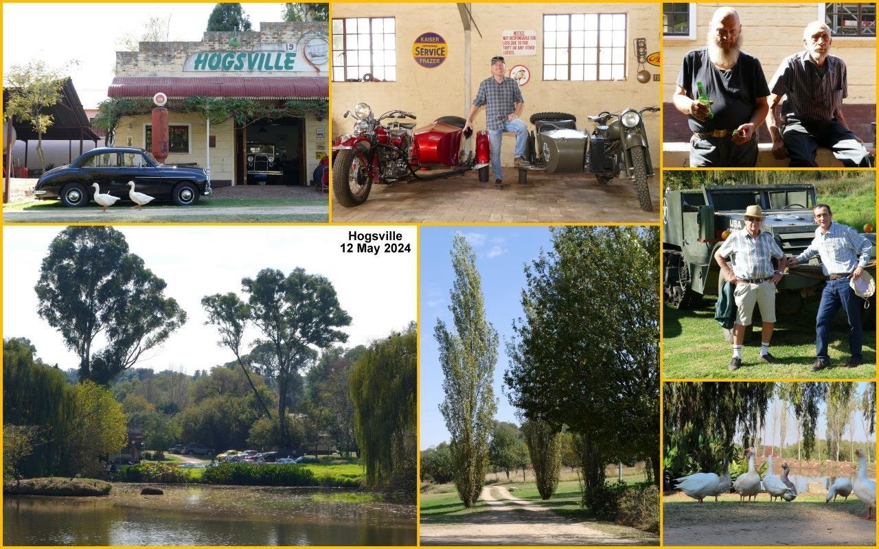 Hogsville Collage