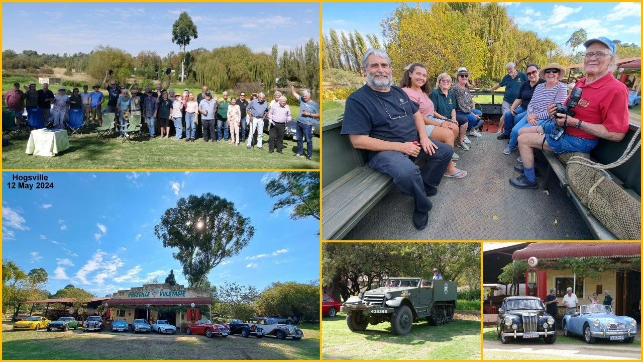 Hogsville Collage