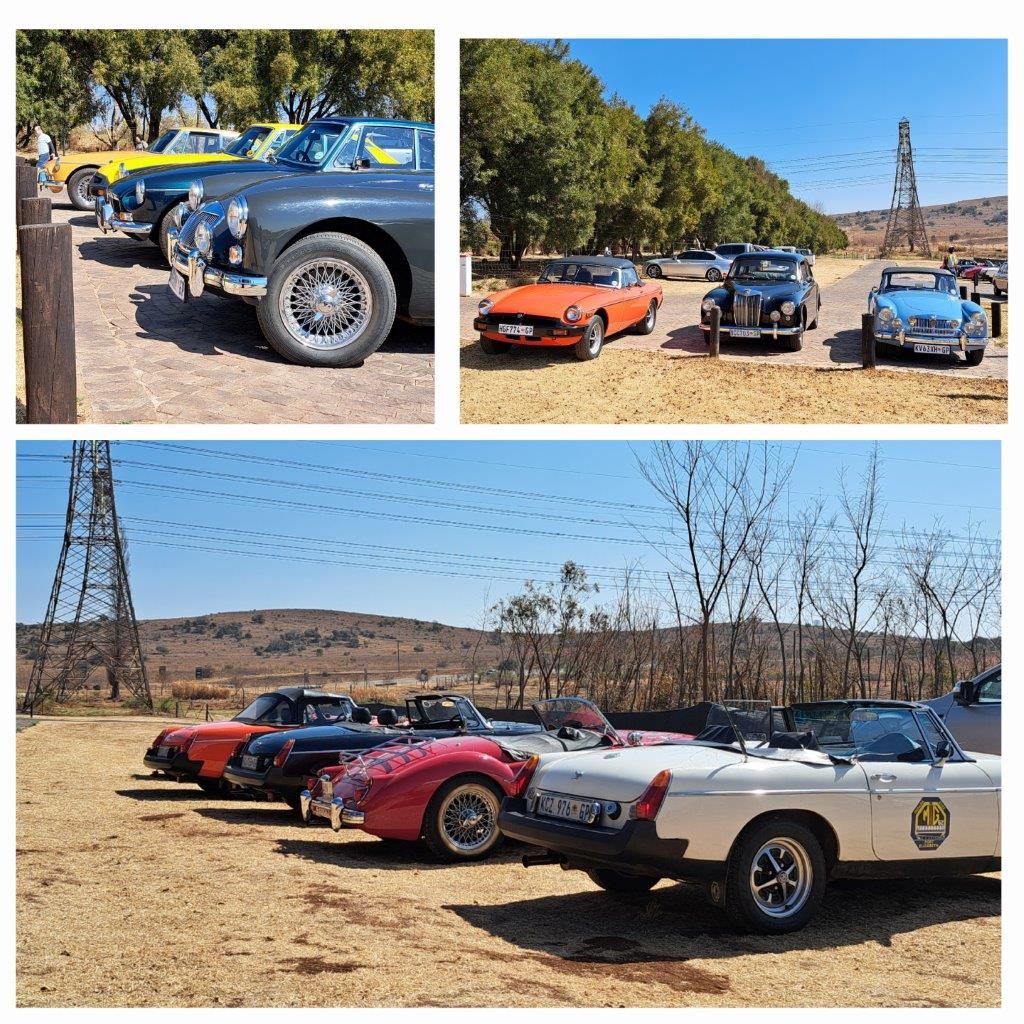 MG Molvita Collage