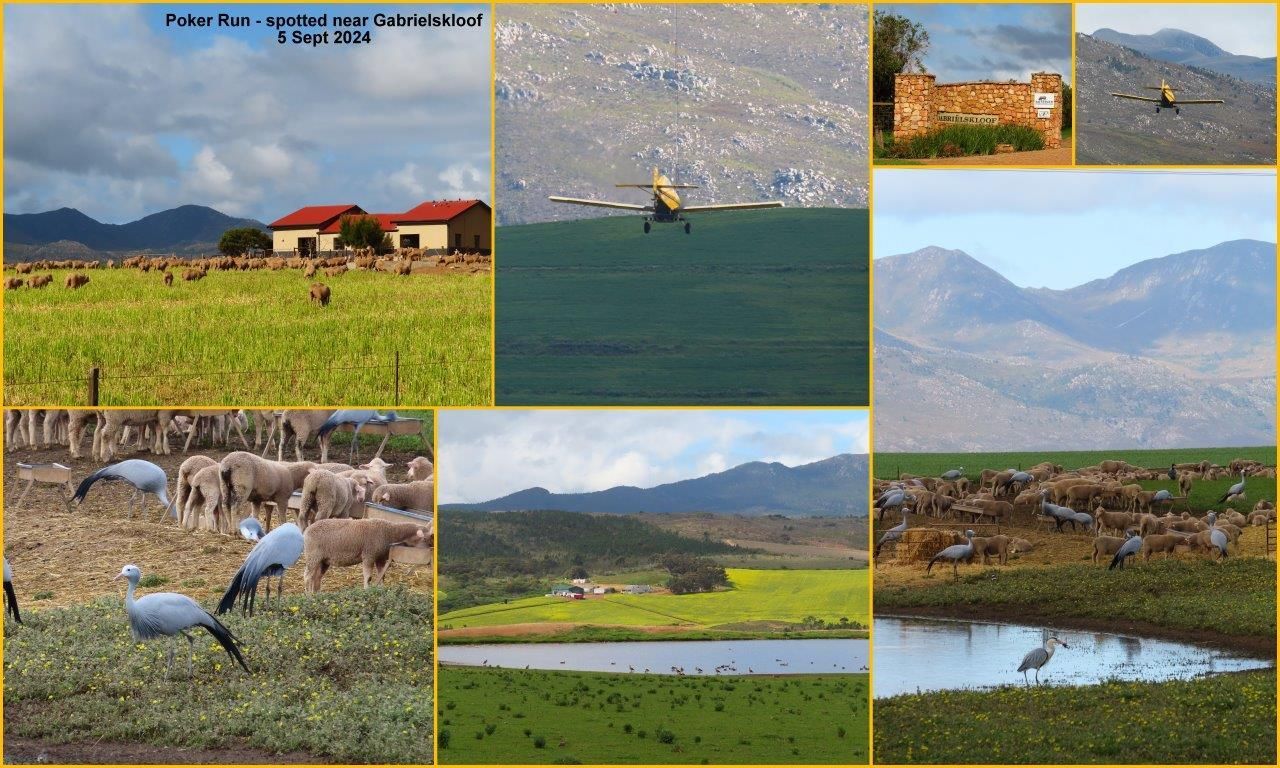 Outing Collage