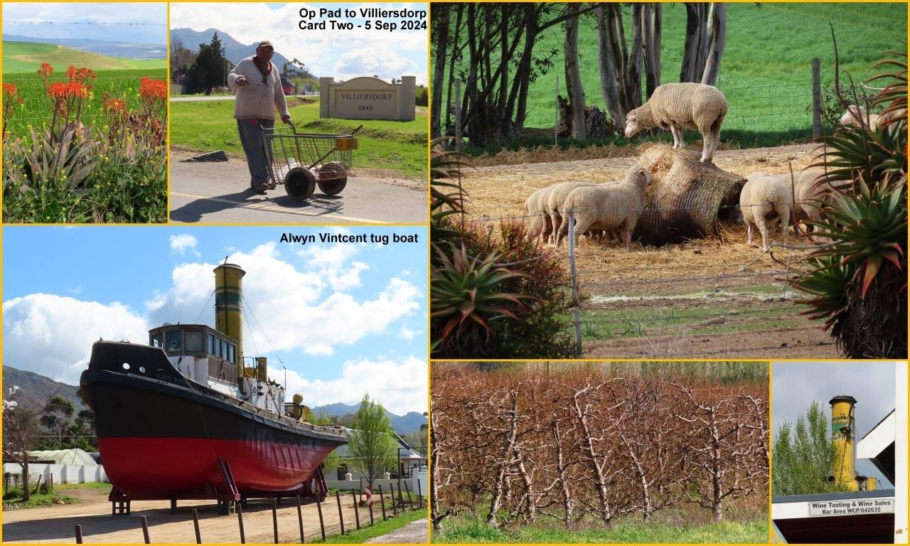 Outing Collage