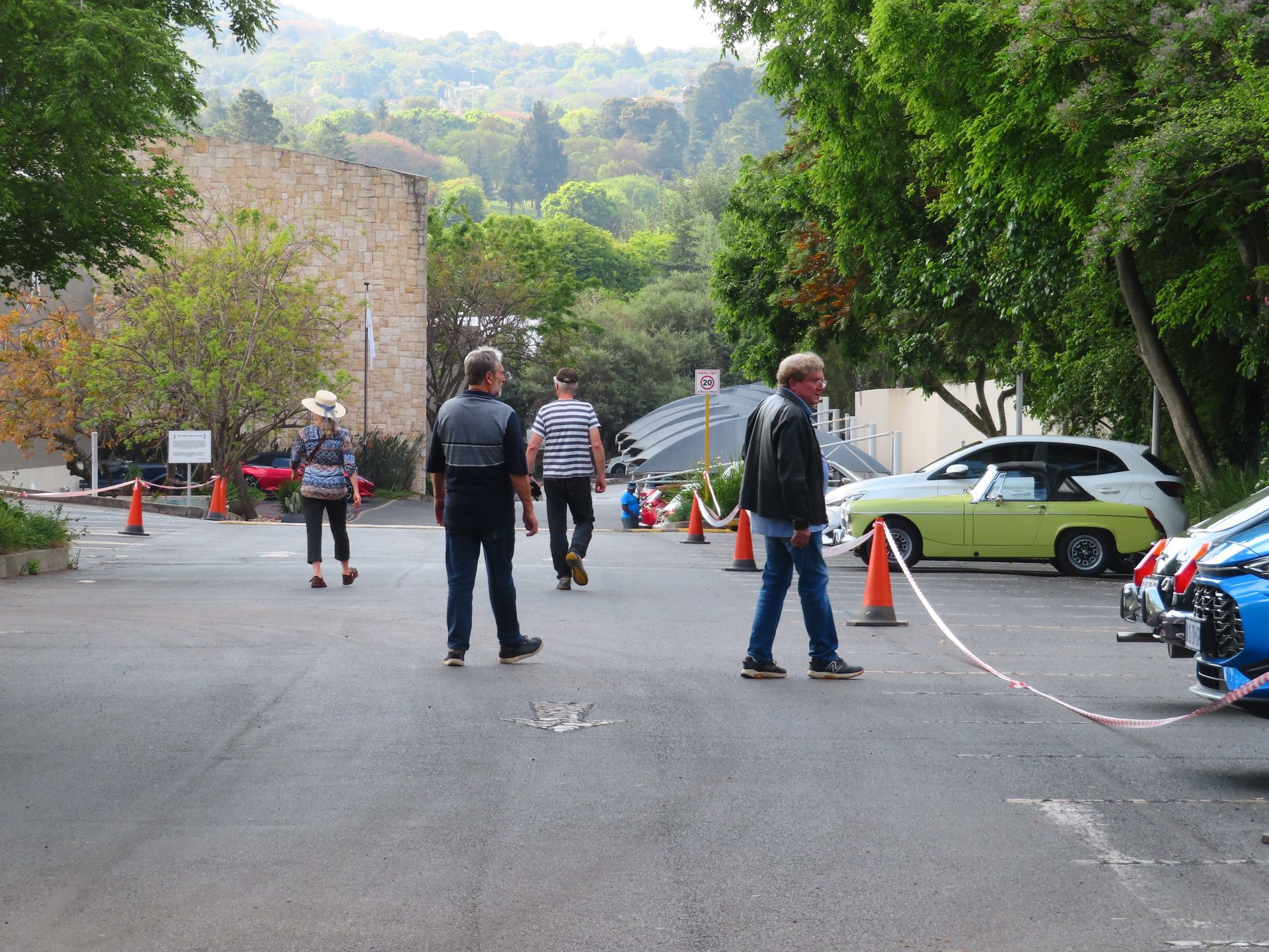 People standing in a blocked street with traffic cones, parked cars, and trees on both sides
