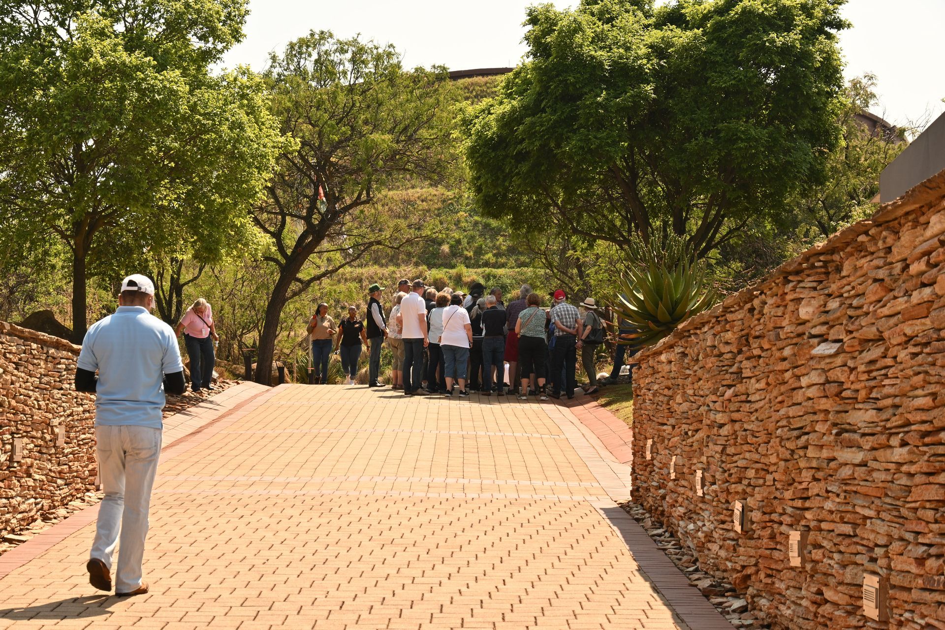 People walking up a sunlit brick path beside stone walls and trees