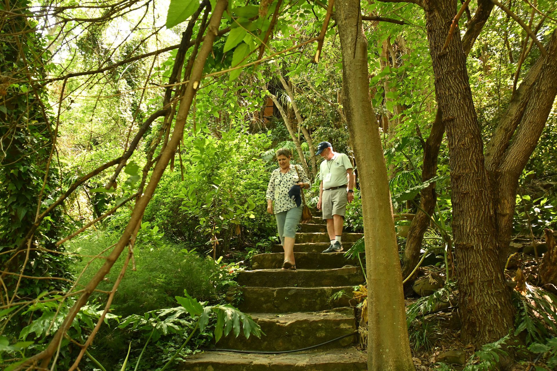 Two people walking down stone steps in a lush green forest garden