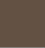 Sun Bronze