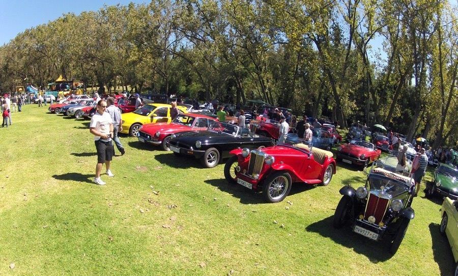 Line up of Old MGs