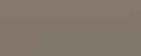 Sandy Beige
