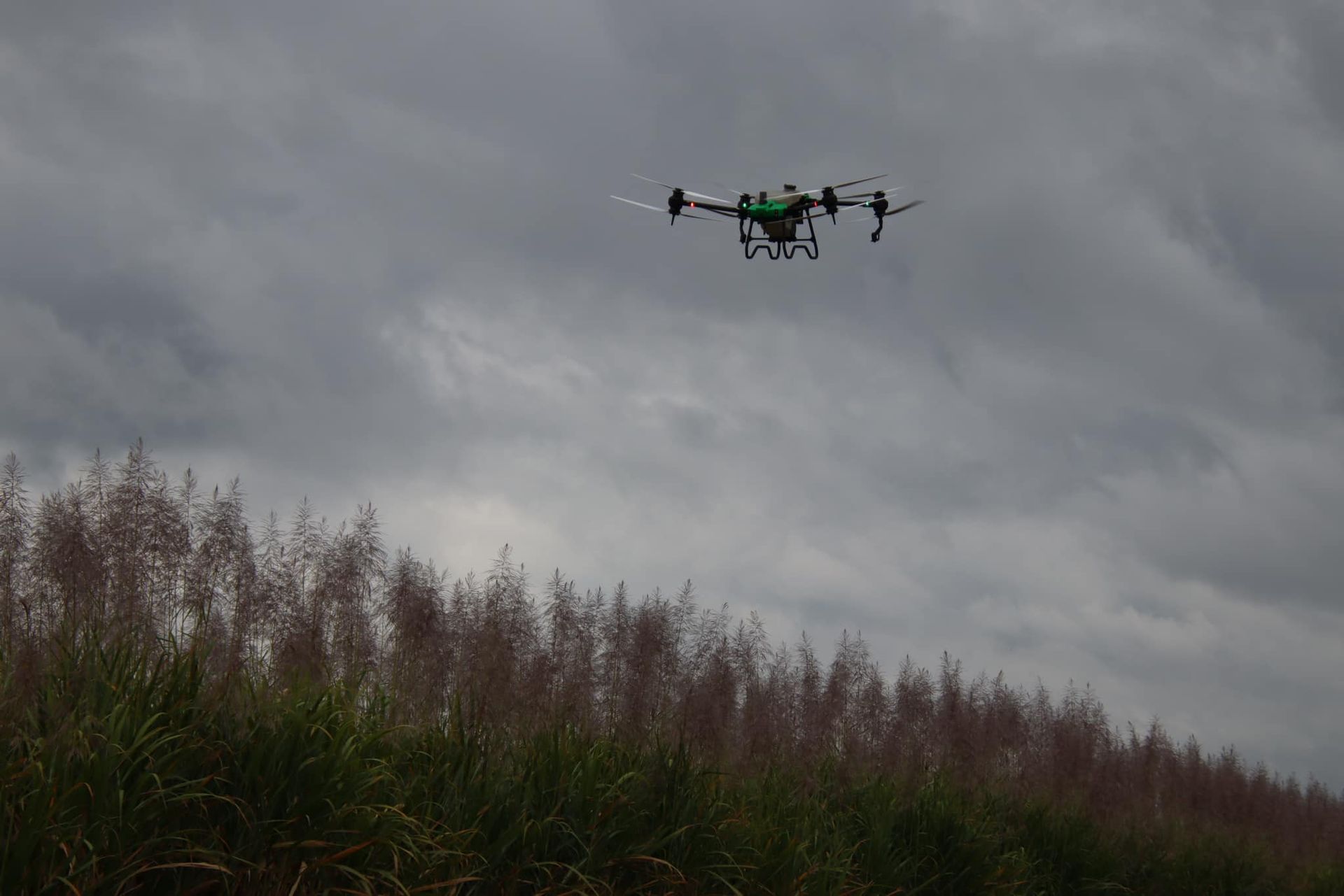 Drone Flying Over a Field of Tall Grass Under a Cloudy Sky — Jetstream Aerial Services in Te Kowai, QLD