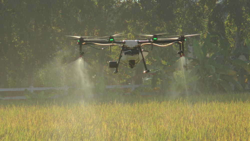 Drone Spraying Crops in A Green Field with A Bright, Sunny Background — Jetstream Aerial Services in Te Kowai, QLD