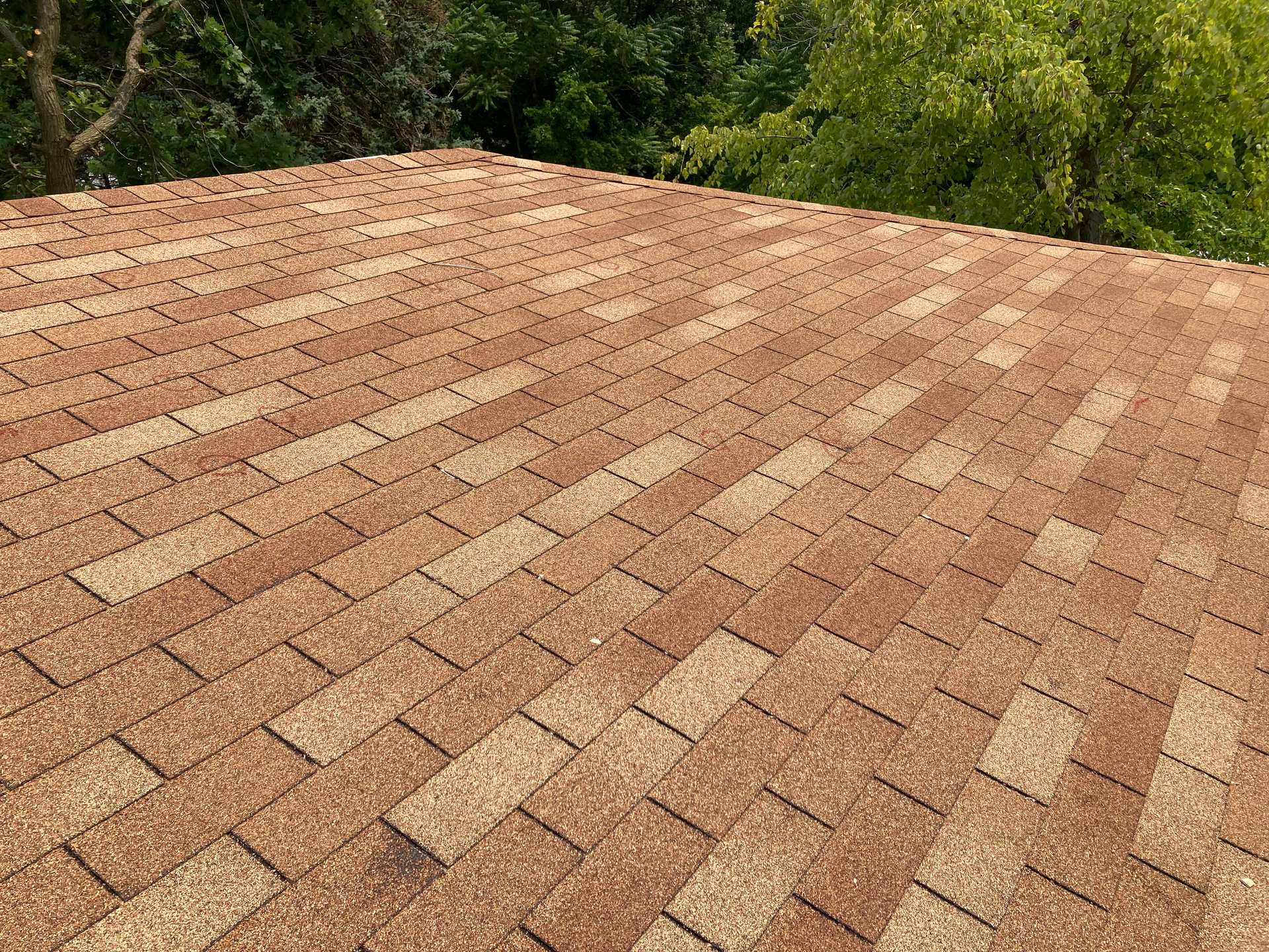 Brown shingle roof with a forested treeline in the background